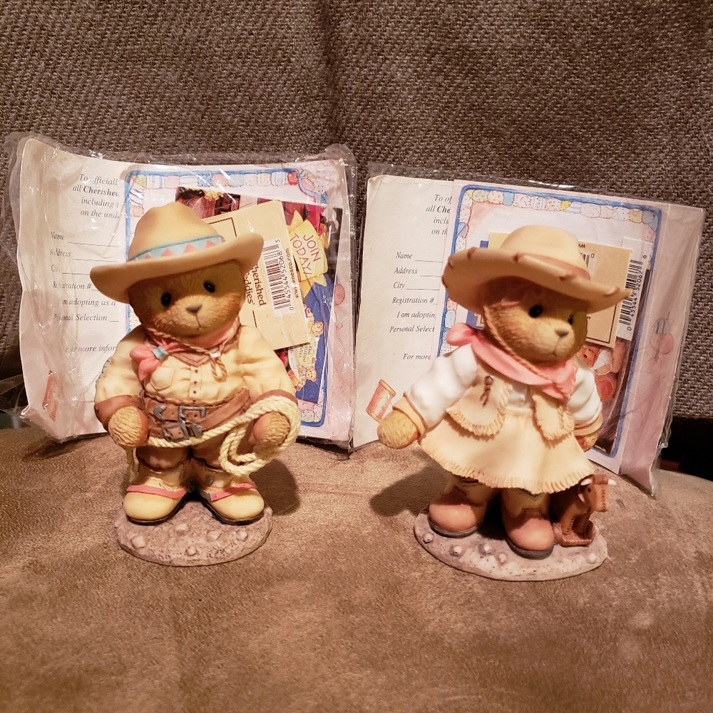 Cherished teddy's